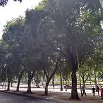Rio Earth